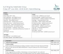 thumbnail of 10.06.2022 Gull Wing Key Stakeholder Group Notes