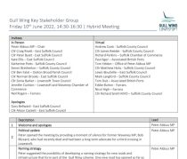 thumbnail of 10.06.2022 Gull Wing Key Stakeholder Group Notes