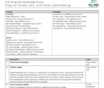 thumbnail of 14.10.2022 Gull Wing Key Stakeholder Group notes